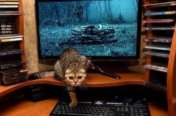 Инструкция выживания в фильмах ужасов (часть 2)