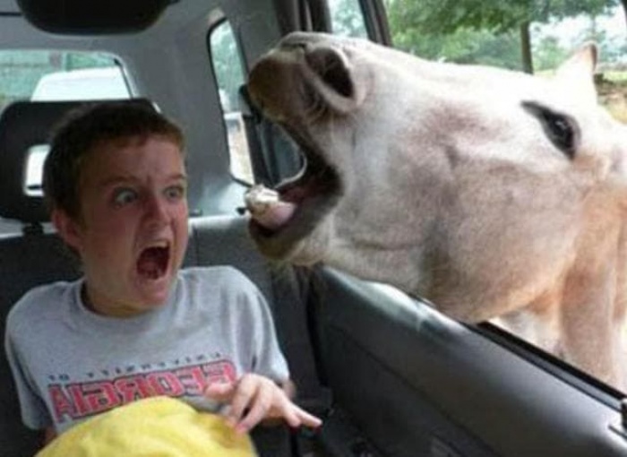 Инструкция выживания в фильмах ужасов (часть 1)