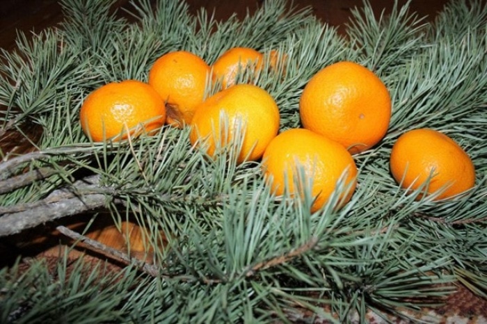 Почему мы празднуем Новый год?