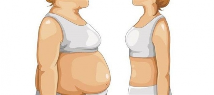 Куда девается жир, когда мы худеем?